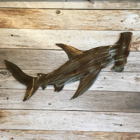 AN25Y Hammerhead Shark